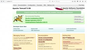 XAMPP Apache Tomcat main window configuration