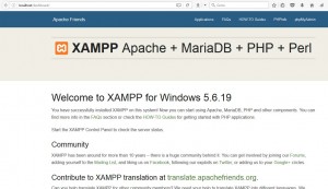 XAMPP main window configuration