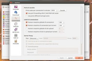 torrent qBitTorrent configurazione port tcp udp